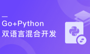 【微体系课】Go+Python打造电商系统 自研微服务框架（完整视频+课件包含电子文档、代码）