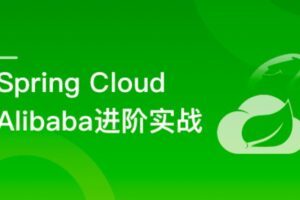 Spring Cloud Alibaba 大型互联网领域多场景最佳实践价值328