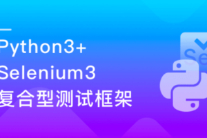 Python自动化测试开发实战 一门能就业的测试课（完结无密）