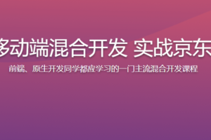 混合开发入门 Vue结合Android/iOS 开发仿京东项目App