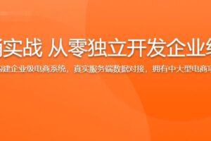 Vue全家桶实战 从零独立开发企业级电商系统