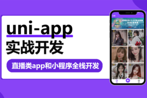 uni-app实战直播app全栈开发|网盘下载
