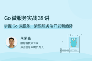 【拉勾教育】Go 微服务实战 38 讲|网盘下载
