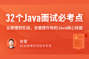 【拉勾教育】32个Java面试必考点|网盘下载