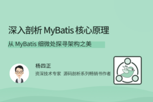 深入剖析 MyBatis 核心原理|网盘下载
