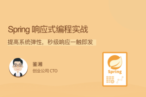 【拉勾教育 】Spring 响应式编程实战|网盘下载
