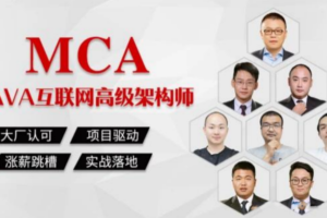【马士兵VIP课程】马士兵MCA Java高级互联网架构师(最新包含七套大课)