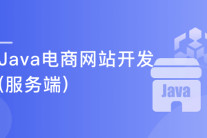 从0开始 独立完成企业级Java电商网站服务端开发|网盘下载