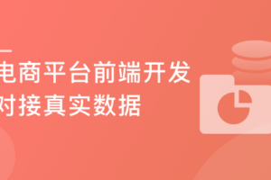 真实数据对接 从0开发前后端分离的企业级上线项目|网盘下载
