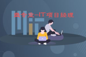 微专业-IT项目经理|网盘下载