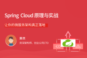 【拉勾教育】Spring Cloud 原理与实战|网盘下载