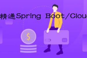 圣思园_精通Spring Boot/Cloud|网盘下载