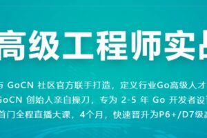 Go高级工程师实战营|百度网盘|完结无密