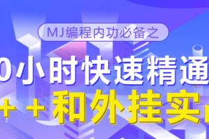 小码哥 -30小时快速精通C++和外挂实战|网盘下载