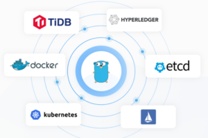 JKSJ Go进阶训练营第四期|已完结|百度网盘