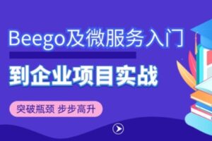 Go/Golang/Beego微服务基础实战|已完结|网易云课堂