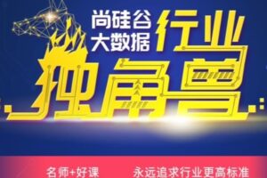 尚硅谷大数据大神班