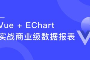 Vue + EChart4.0 从0到1打造商业级数据报表项目 | 完结无密