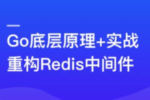 深入Go底层原理，重写Redis中间件实战 | 高清网盘下载