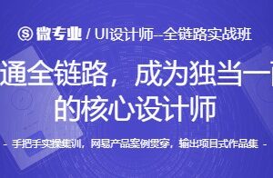网易微专业-UI设计师–全链路实战班 | 最新完结无密