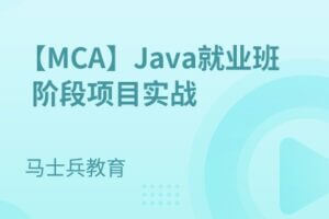 Java就业班阶段项目实战【马士兵教育】| 完结无密
