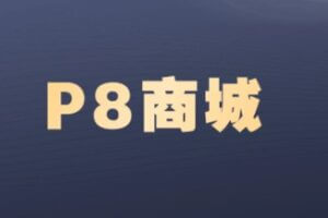 P8商城【马士兵教育】| 完结无密