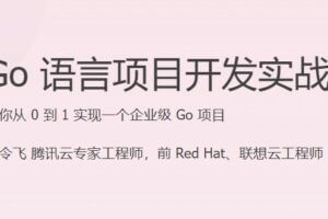 JKSJ – Go 语言项目开发实战 | 已完结