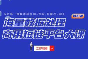 微服务架构-海量数据商用短链平台项目大课 | 高清完结