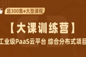 工业级PaaS云平台+SpringCloudAlibaba 综合项目实战 | 完结无密
