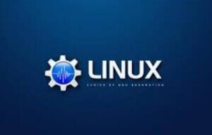 王道 – C-Linux语言短期班 | 2022完结无密