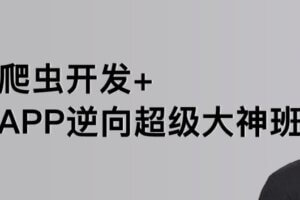 路飞学城 – 爬虫开发+APP逆向超级大神班 | 完结无密