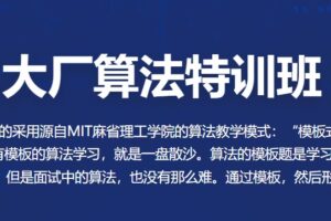 百战-大厂算法特训班 | 最新完结无密