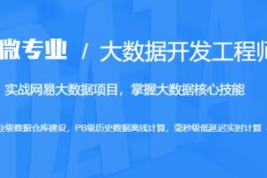网易微专业-大数据开发工程师 | 高清完结无密