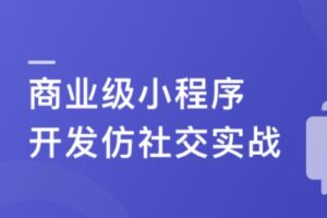 SpringCloudalibaba+Vue开发仿社交小程序 | 高清完结