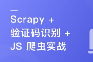 (新版)Python 分布式爬虫与 JS 逆向进阶实战 | 已完结