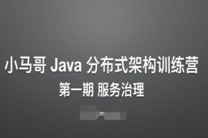 小马哥 Java 训练营 第一期 Java 分布式架构 – 服务治理 | 最新完整无密