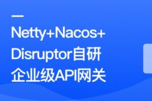 后端开发必备高阶技能—自研企业级网关组件 | 最新完结