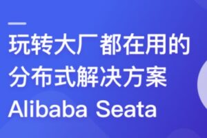 一课学透 分布式事务框架 Alibaba Seata | 完结14章