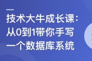技术大牛成长课,从0到1带你手写一个数据库系统 | 完结11章