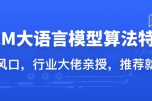 LLM大语言模型算法特训，带你转型AI大语言模型算法工程师 | 已完结