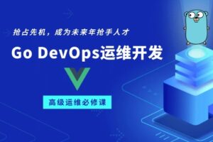 Go/Golang DevOps运维开发实战集训营 | 李振良 | 2023完结