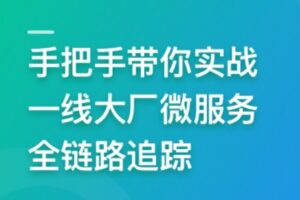 手把手带你实战一线大厂 SkyWalking 微服务全链路追踪 | 完结15章