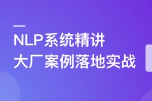 NLP系统精讲与大厂案例落地实战,吃透内容理解体系 | 完结11章