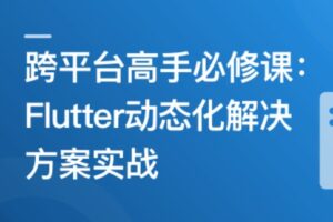 跨平台高手必修课–Flutter动态化解决方案实战 | 完结14章