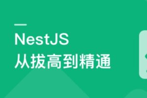 NestJS从拔高到精通，大型复杂业务架构落地实践