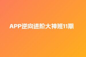路飞 APP逆向进阶大神班11期