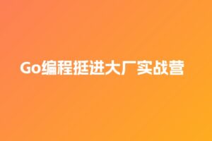 TL-Go编程挺进大厂实战营