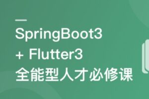 SpringBoot 3 + Flutter3 实战低代码运营管理