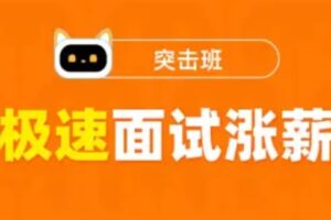 图灵-极速面试涨薪突击班